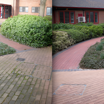 Professional Soft Wash Services in Swansea-4 Professional Soft Wash Services in Swansea-4