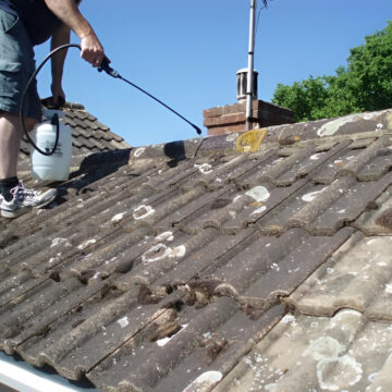 Roof cleaning pressure washed-4 Roof cleaning pressure washed-4