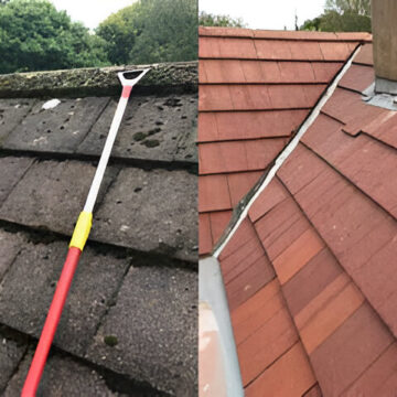 Roof cleaning pressure washed-8 Roof cleaning pressure washed-8