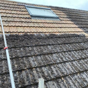 Roof cleaning pressure washed-9 Roof cleaning pressure washed-9