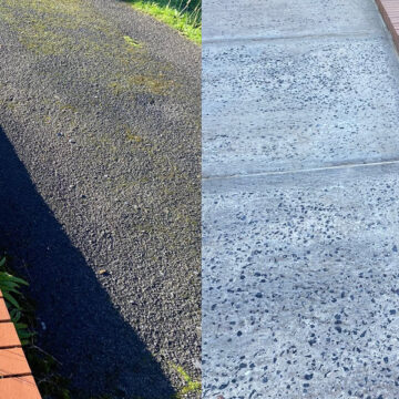 Steam Pressure Washing in Swansea-11 Steam Pressure Washing in Swansea-11