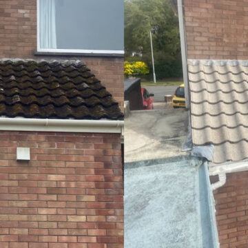 Steam Pressure Washing in Swansea-9 Steam Pressure Washing in Swansea-9