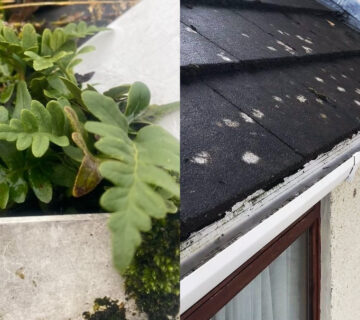 Reliable Gutter Fascia and Roof Cleaning in Rhos