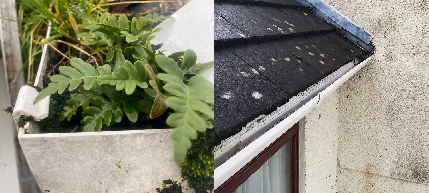 Reliable Gutter Fascia and Roof Cleaning in Rhos