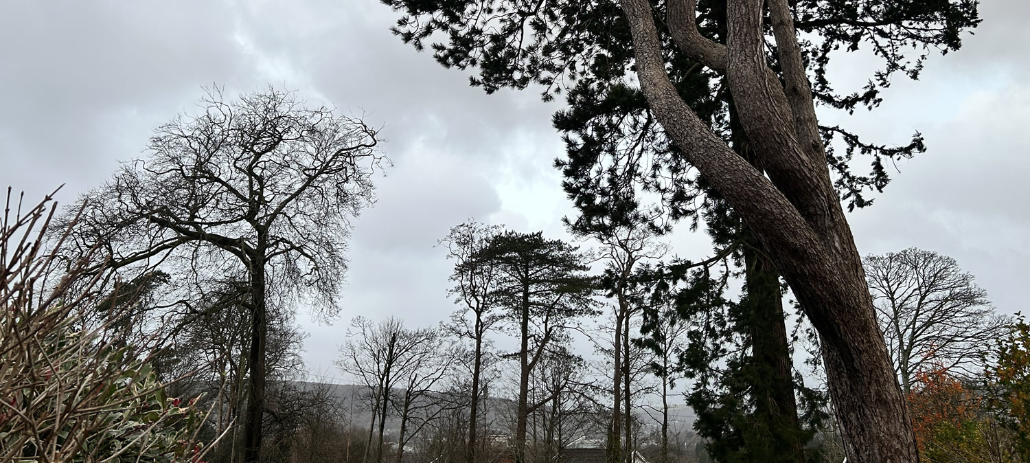 Gutter Cleaning in mumbles