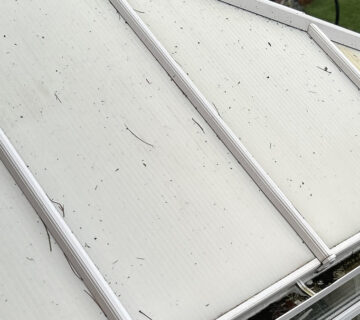 Gutter Cleaning in Sketty