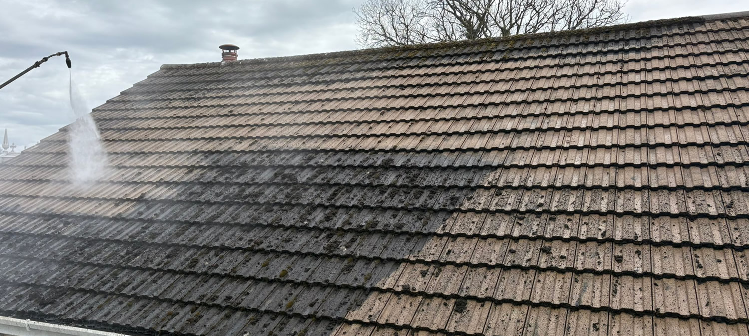 Tile and Slate Roof Cleaning to Remove Moss