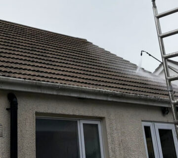 Professional Roof Cleaning in Margam