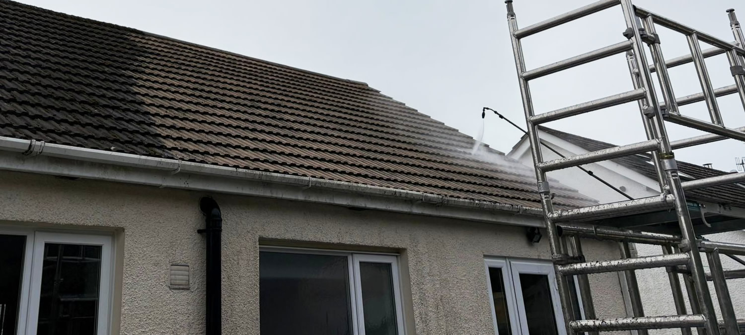 Professional Roof Cleaning in Margam