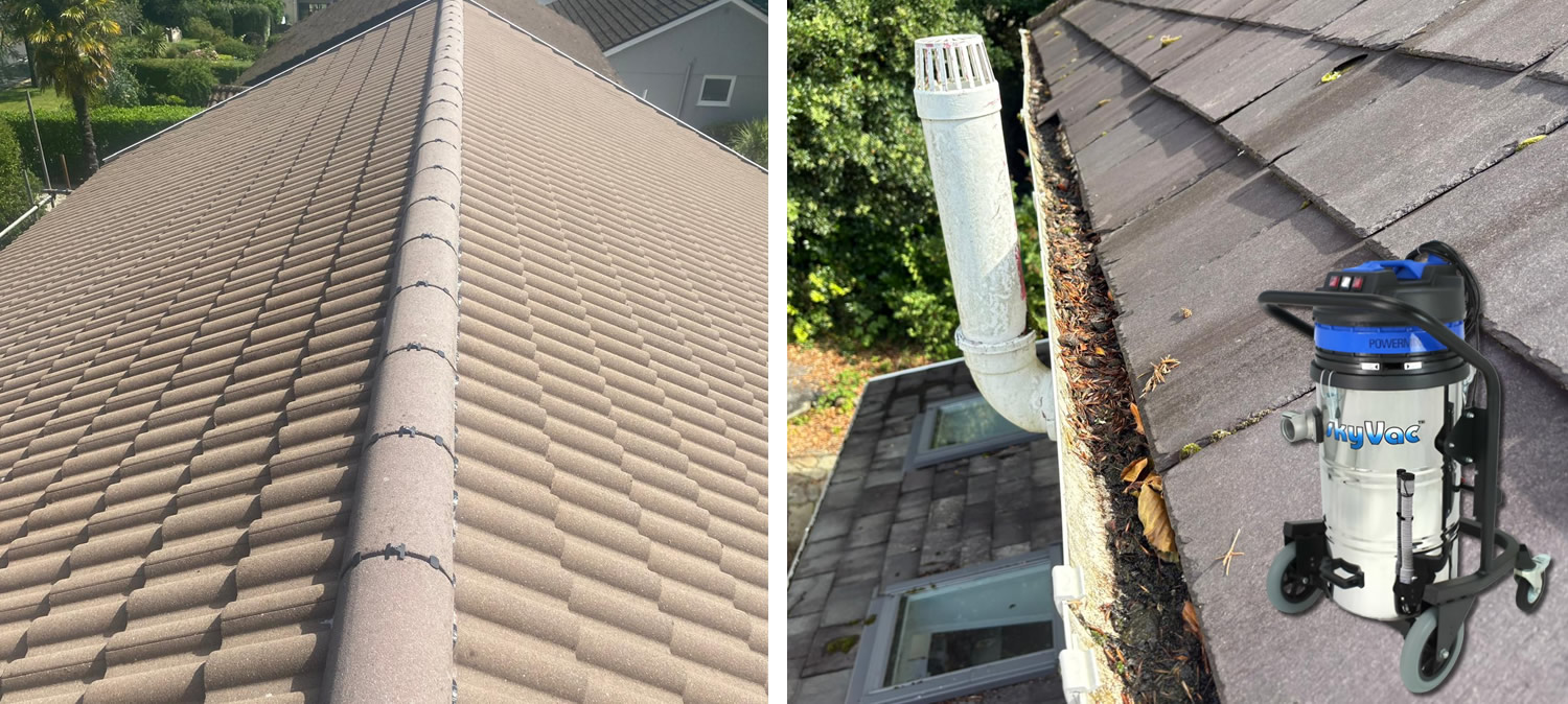 Professional Gutter Downpipe and Roof Cleaning in Port Talbot