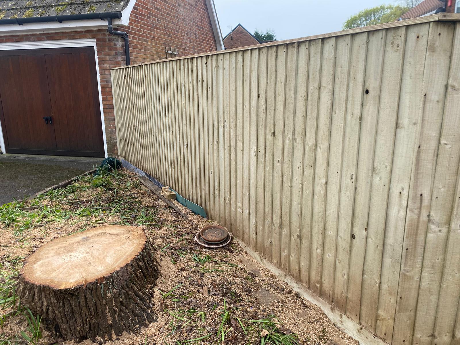 Fence Cleaning After