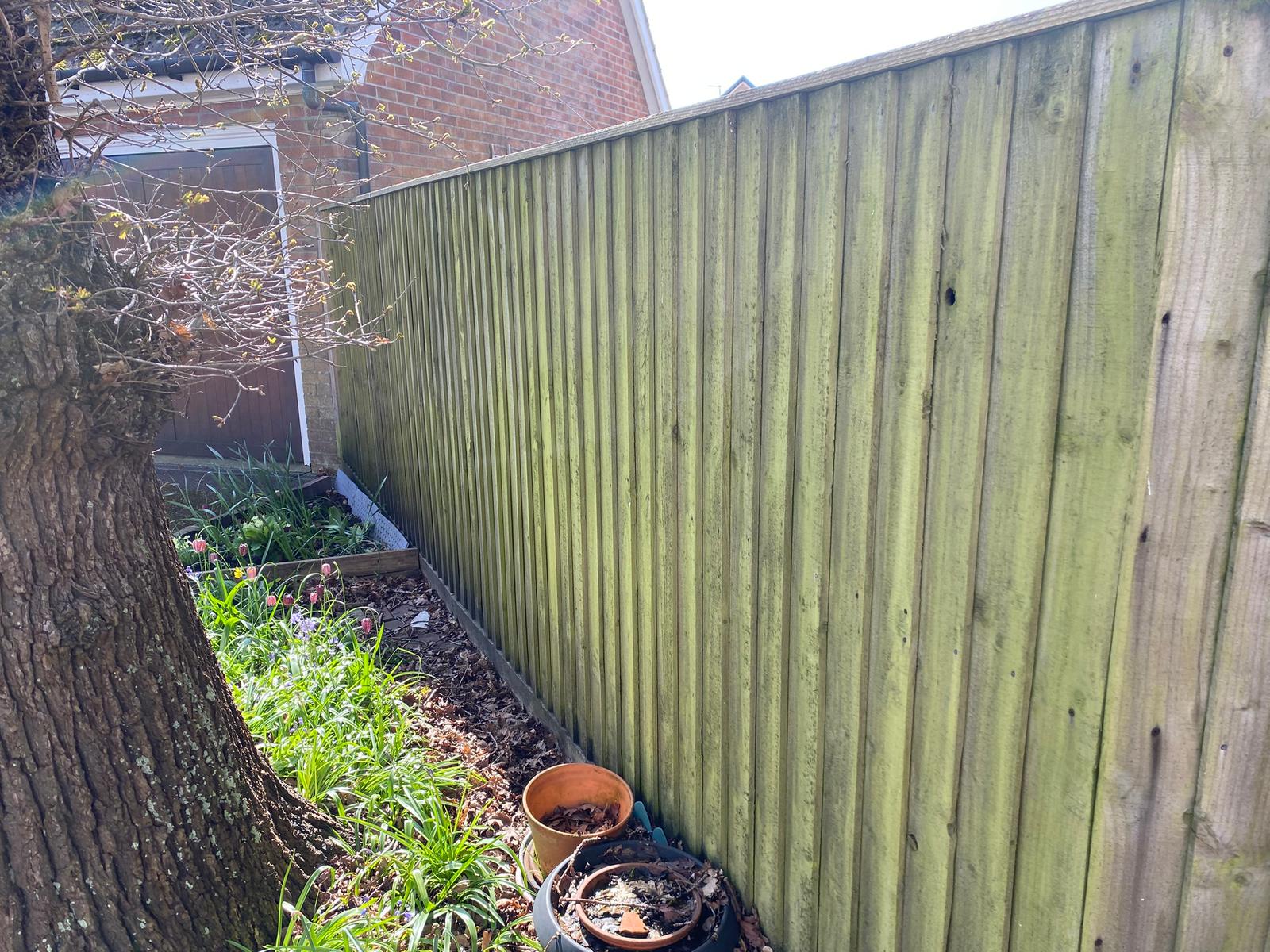 Fence Cleaning Before
